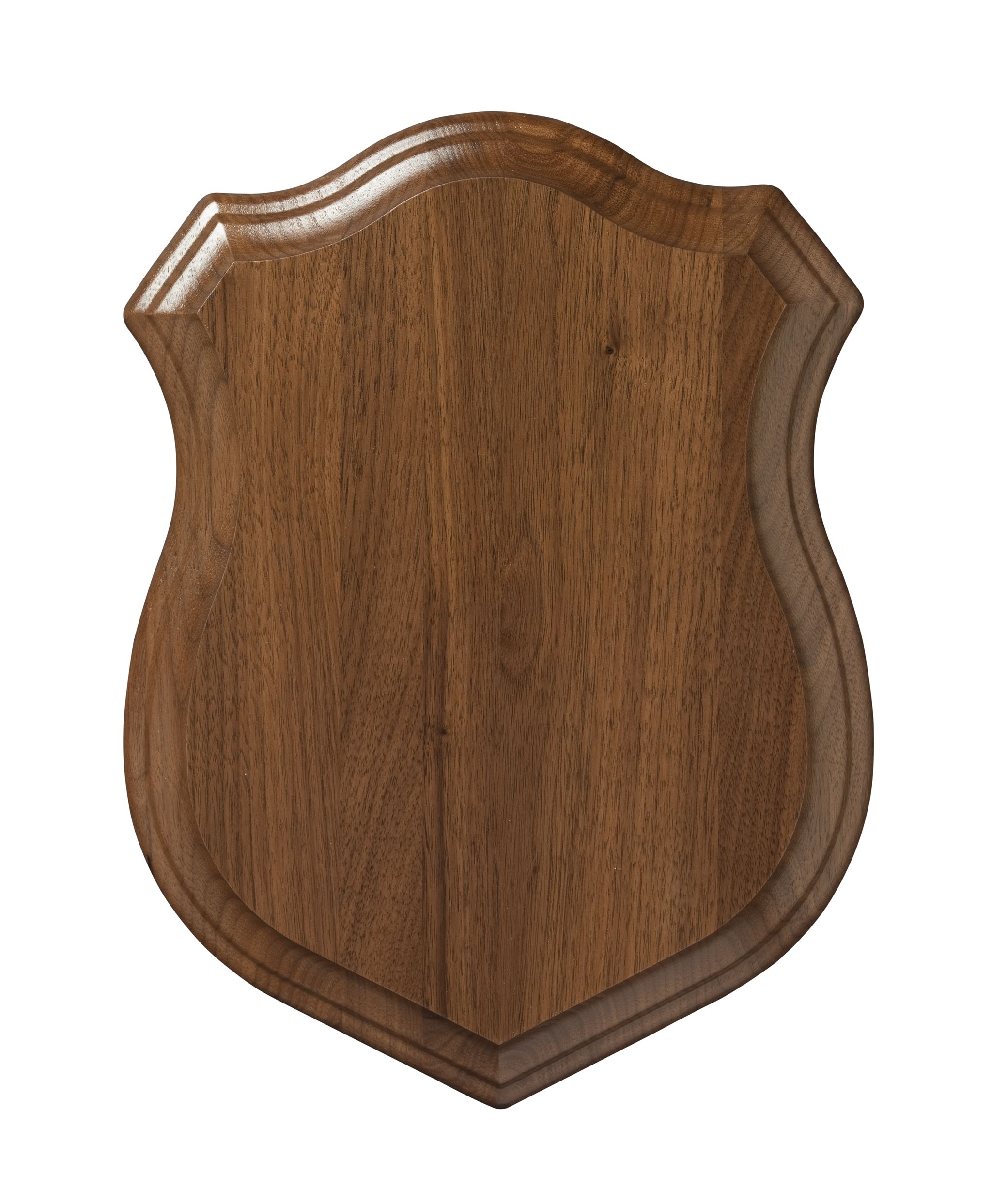 Shield representing security and data protection